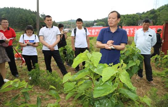 說明:E:\周麗華\農工黨建設\2018年支部參加的活動\萬樂村活動\曾志峰拍照\新聞稿用照片\IMG_3509.JPG