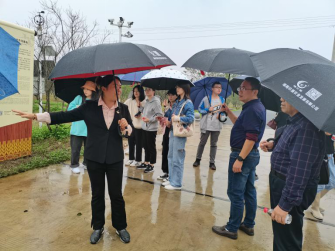 張經(jīng)理講解有機(jī)水稻