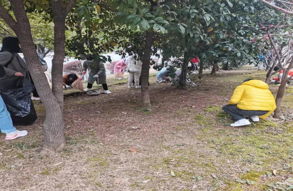 同學(xué)們在撿拾落葉