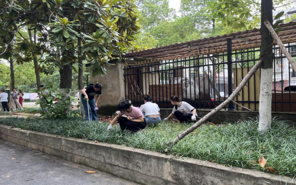 同學(xué)們戴著手套撿拾落葉
