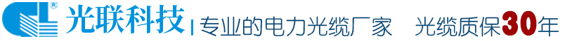 教育實(shí)踐活動(dòng)